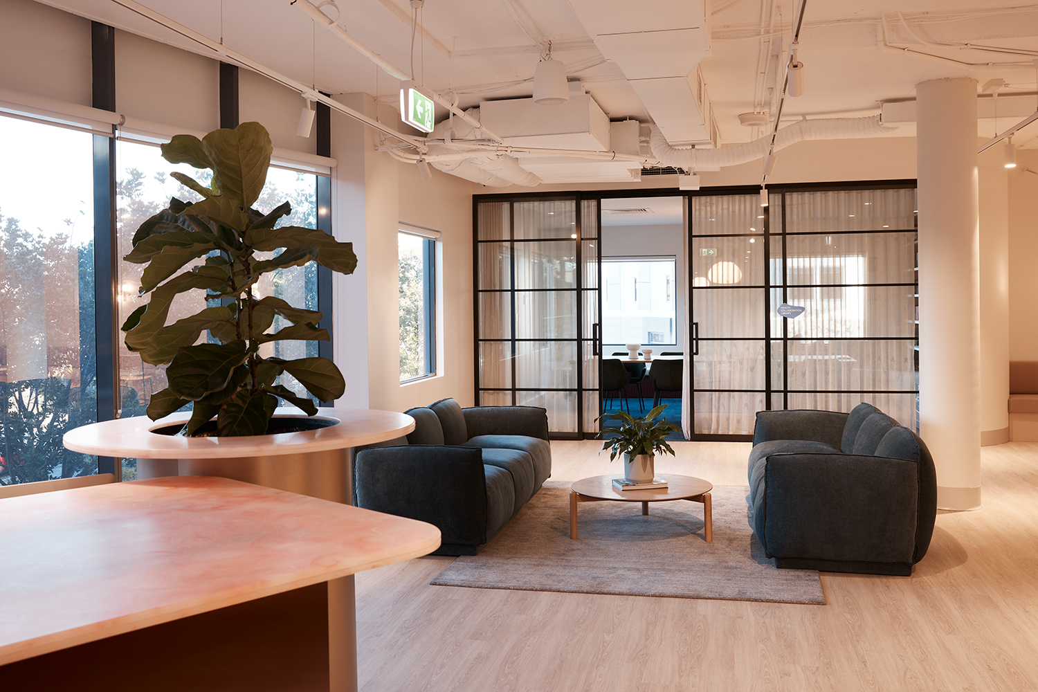 Brellah & Movement HQ • Tom Mark Henry